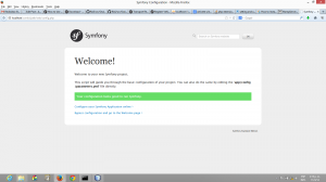 Symfony config check