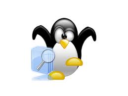 ctime; Linux find command